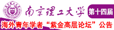 白虎嫩南京理工大学第十四届海外青年学者紫金论坛诚邀海内外英才！